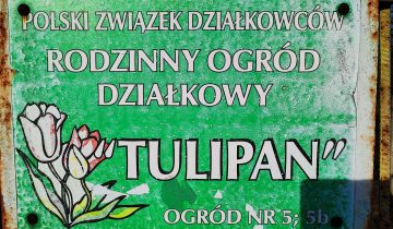 Działka rod Świdnica