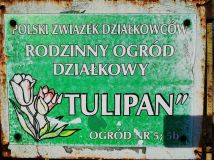 Działka rod Świdnica. Zdjęcie 1