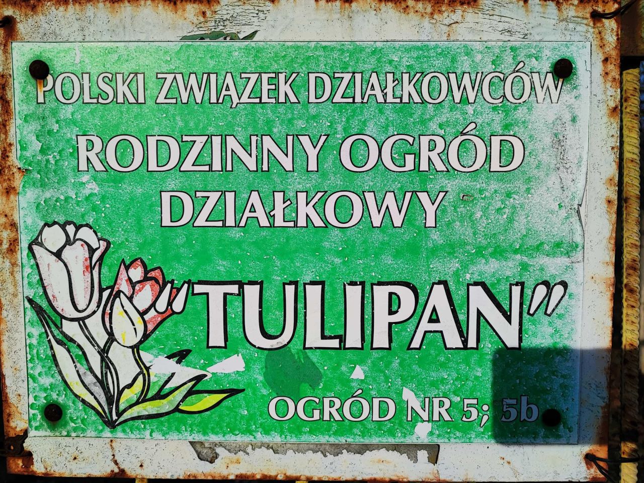 Działka rod Świdnica. Zdjęcie 2