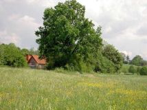 Działka rolno-budowlana Markuszowa. Zdjęcie 1