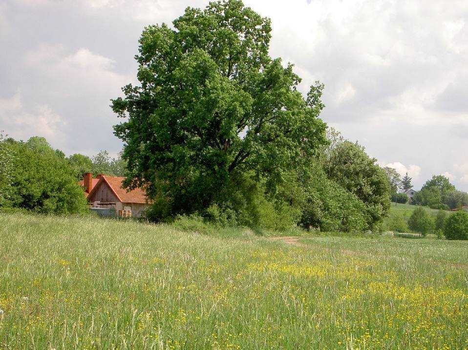 Działka rolno-budowlana Markuszowa. Zdjęcie 2