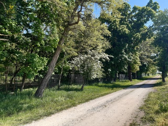 inny, 3 pokoje Luciny. Zdjęcie 9