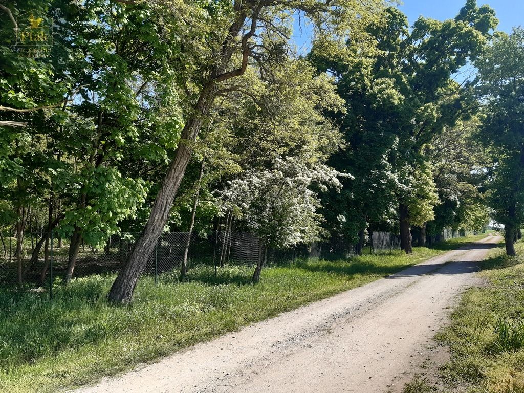 inny, 3 pokoje Luciny. Zdjęcie 9