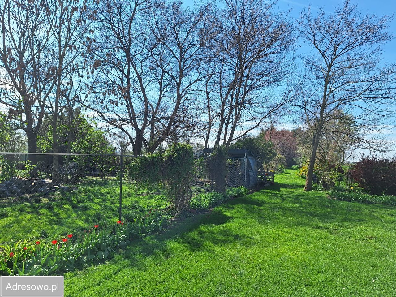 dom wolnostojący, 4 pokoje Bartoszowa. Zdjęcie 17