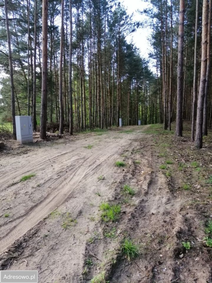 Działka budowlana Chrzypsko Małe. Zdjęcie 5