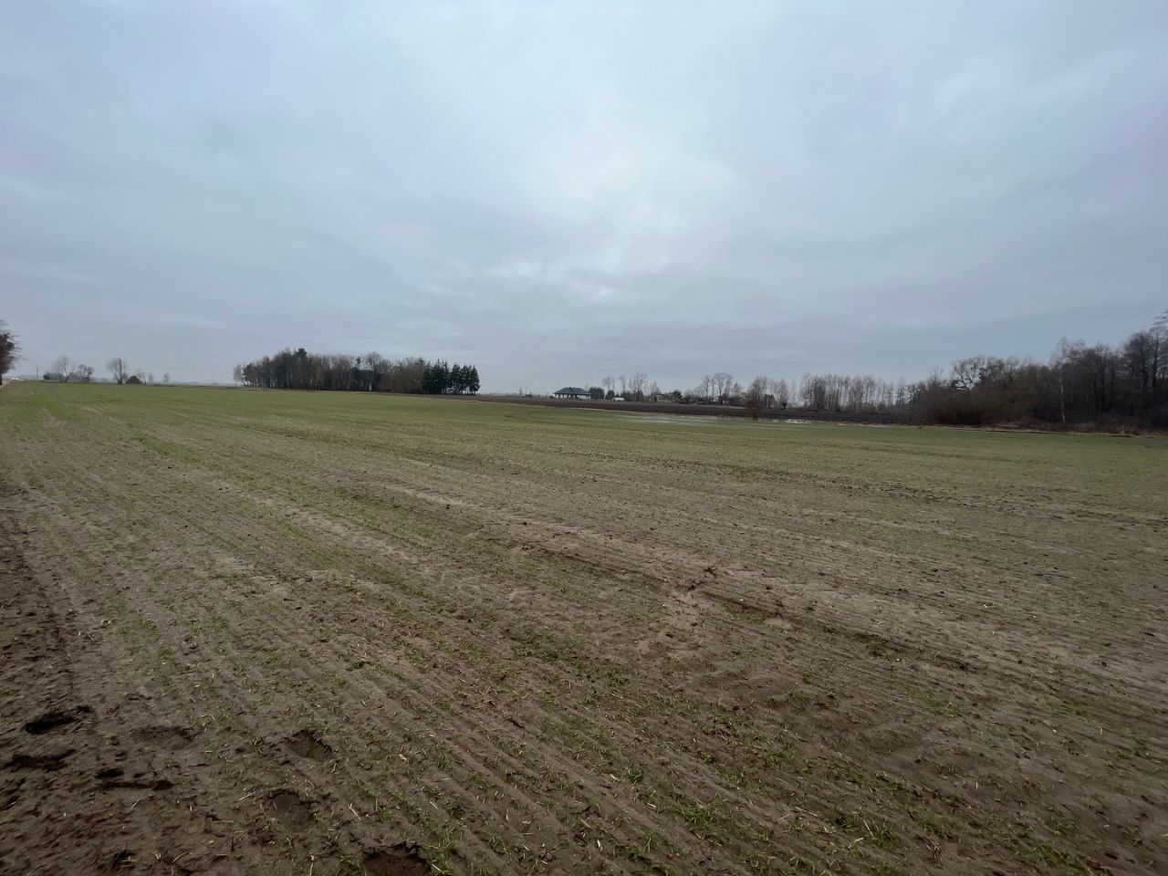 Działka siedliskowa Proboszczewice. Zdjęcie 2