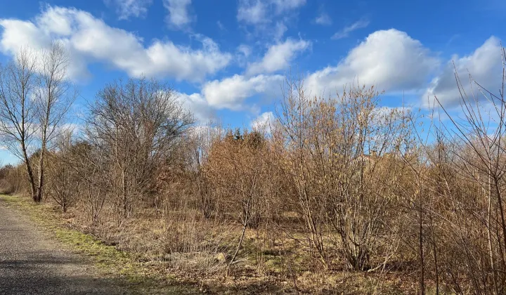 Działka budowlana Budy-Grzybek Kołaczek, ul. Potockiego