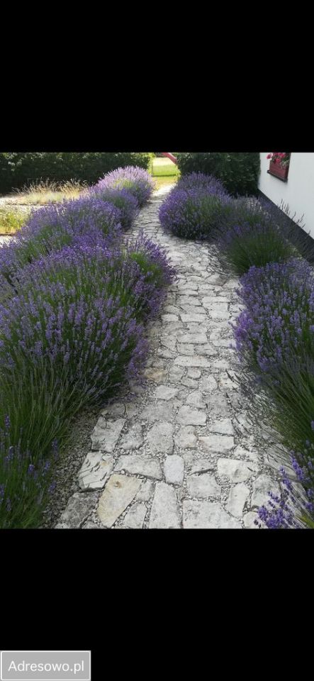 dom wolnostojący, 5 pokoi Ciepielów. Zdjęcie 4