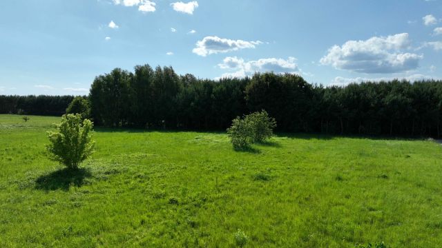 Działka budowlana Włoszczowa, ul. Zielona. Zdjęcie 1