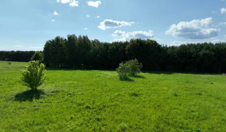 Działka budowlana Włoszczowa, ul. Zielona