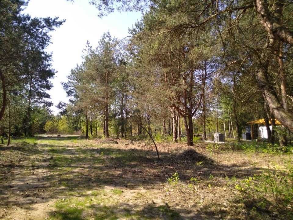 Działka budowlana Bartoszówka, ul. Pogodna. Zdjęcie 2