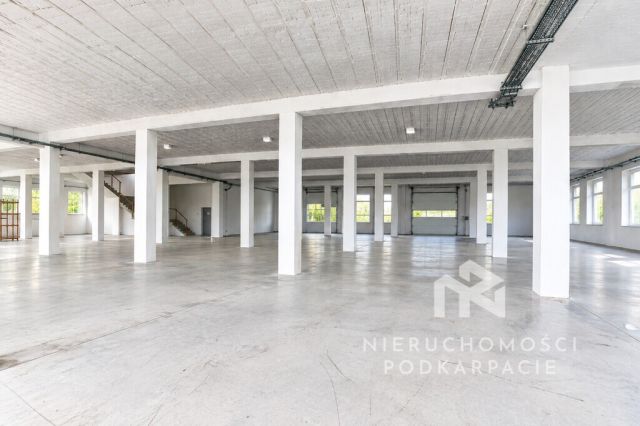Lokal Kraczkowa. Zdjęcie 13