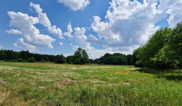 Działka siedliskowa Bukowinka