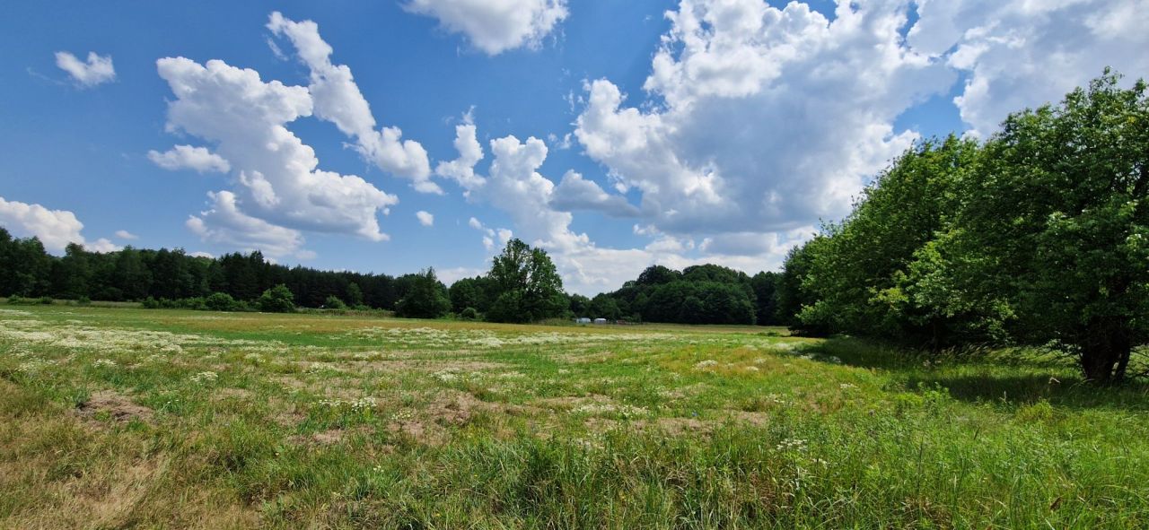 Działka siedliskowa Bukowinka. Zdjęcie 2