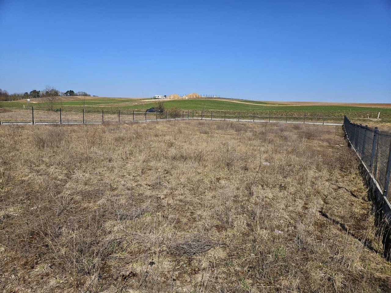 Działka rolno-budowlana Knieja. Zdjęcie 3