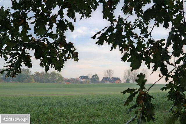 Działka budowlana Górki. Zdjęcie 1