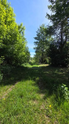 Działka inwestycyjna Olszówka, ul. Polna. Zdjęcie 5