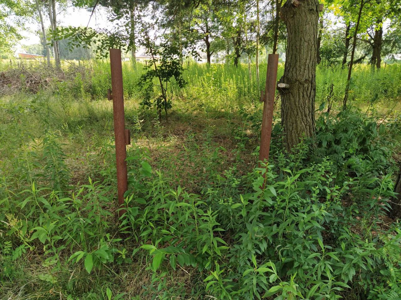 Działka rolna Turowice. Zdjęcie 8