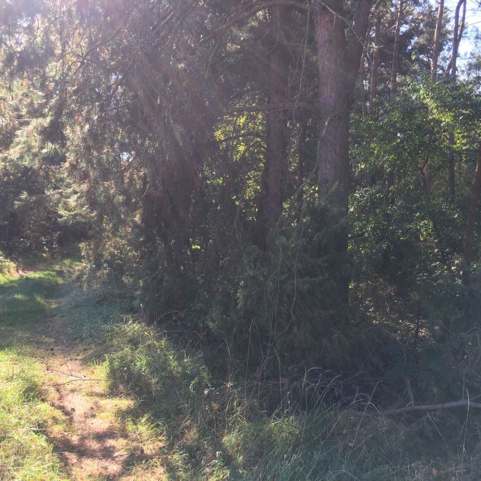 Działka Kostrzyn. Zdjęcie 6