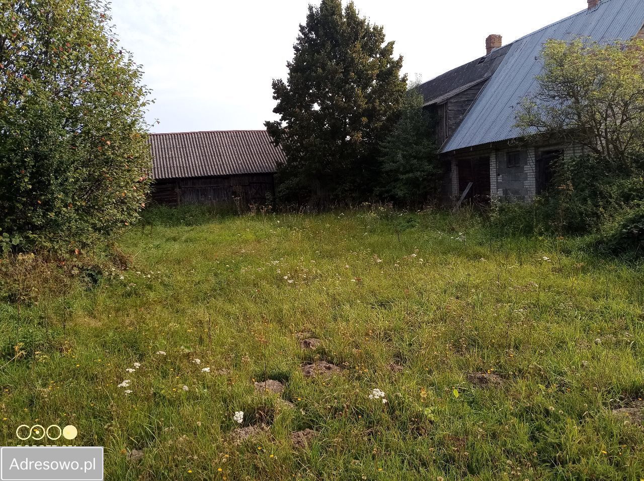 Działka budowlana Waliska. Zdjęcie 3