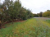 dom wolnostojący Czerwińsk nad Wisłą. Zdjęcie 1