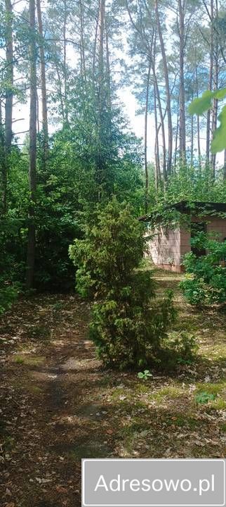 dom letniskowy, 2 pokoje Cieksyn, ul. Świerkowa. Zdjęcie 8