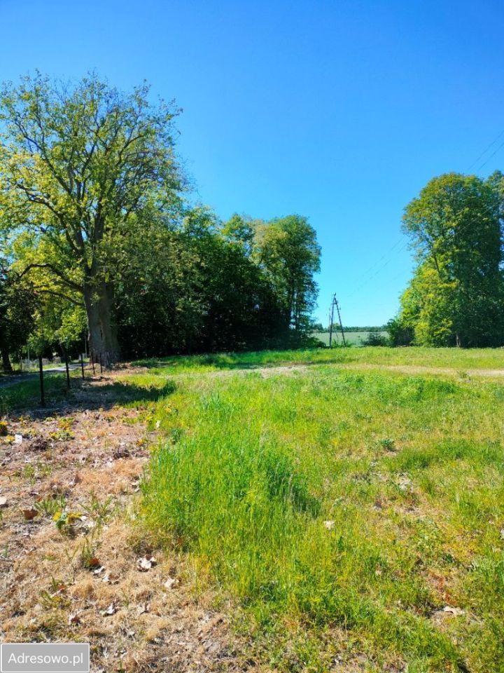 Działka rolno-budowlana Jaszyce. Zdjęcie 8