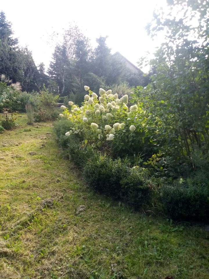 Działka budowlana Życiny. Zdjęcie 18