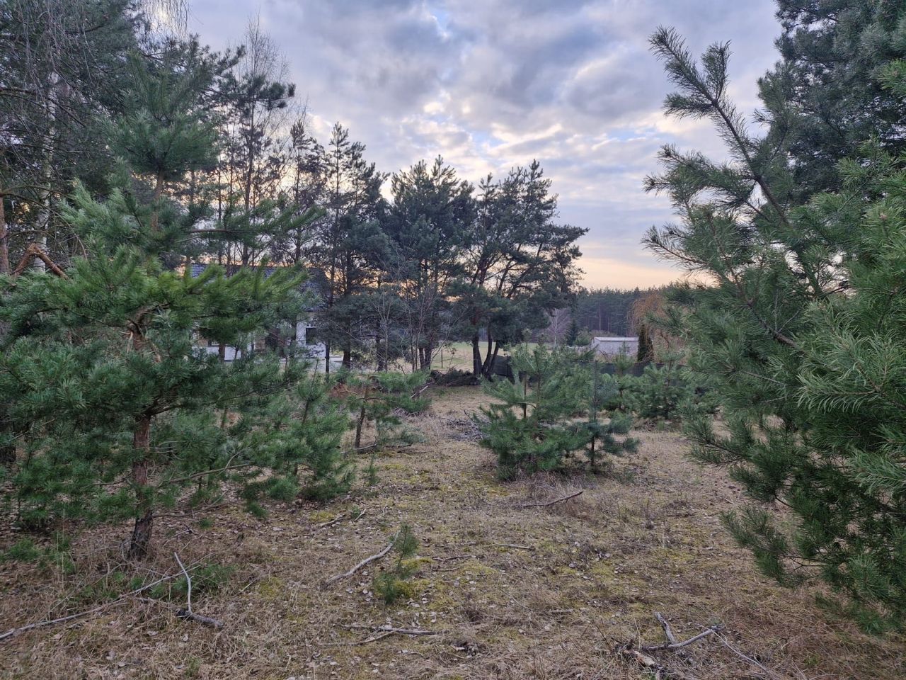 Działka budowlana Laski Małe. Zdjęcie 3