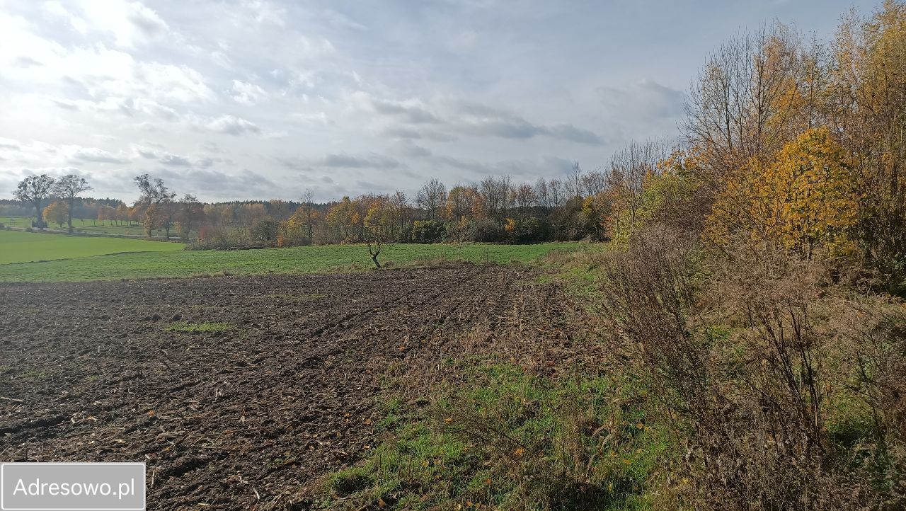 Działka rolno-budowlana Mirotki. Zdjęcie 3