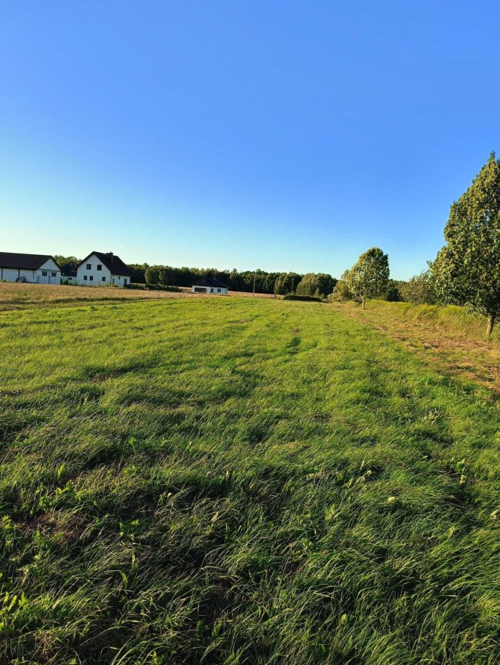 Działka rolno-budowlana Grubale. Zdjęcie 2