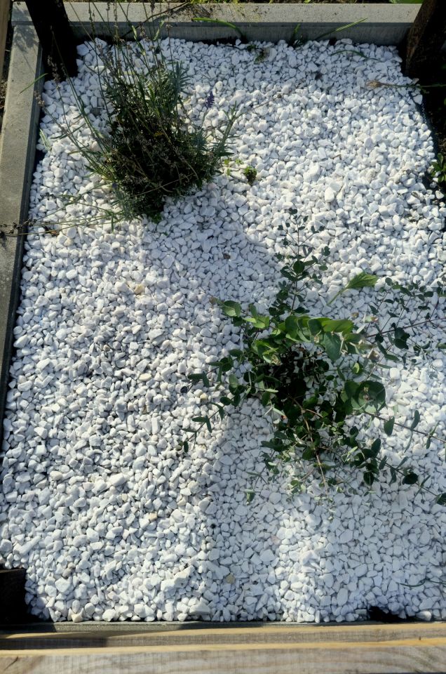 Działka rod Węgorzewo, ul. Mikołaja Kopernika. Zdjęcie 23