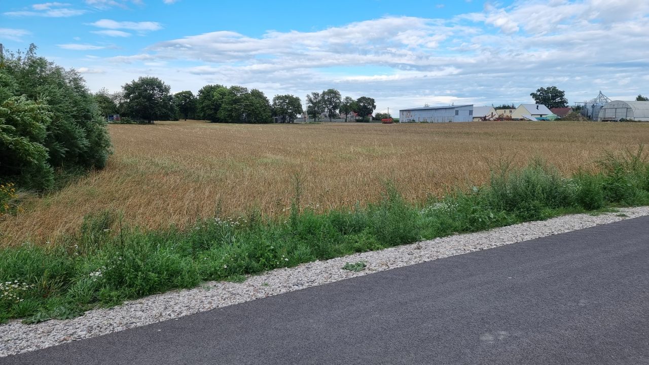 Działka rolno-budowlana Parlin. Zdjęcie 3