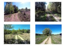 Działka budowlana Oborczyska. Zdjęcie 3