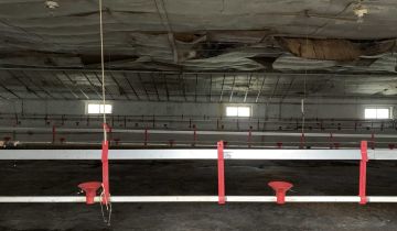 Działka rolno-budowlana Mniów Gajówka, ul. Gajowa