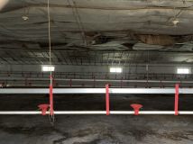 Działka rolno-budowlana Mniów Gajówka, ul. Gajowa. Zdjęcie 1