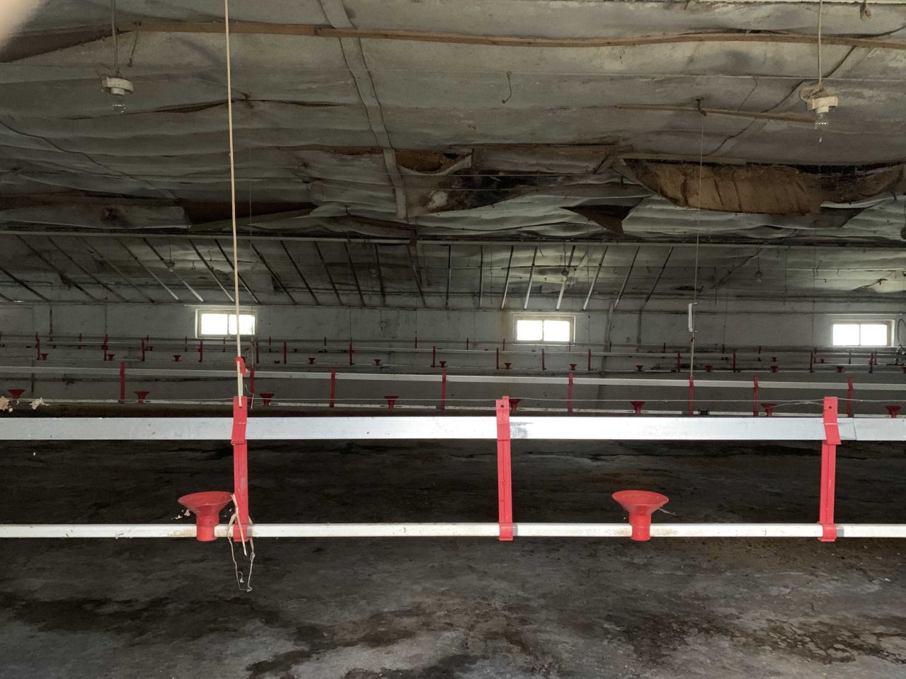 Działka rolno-budowlana Mniów Gajówka, ul. Gajowa. Zdjęcie 2