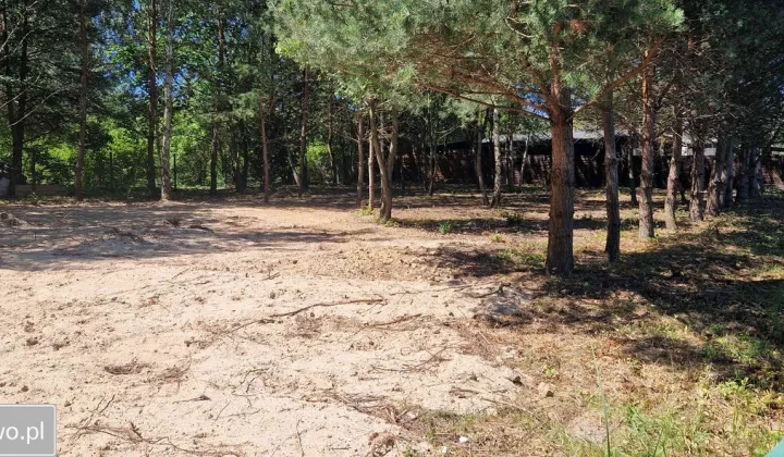 Działka budowlana Swędów, ul. Sosnowa