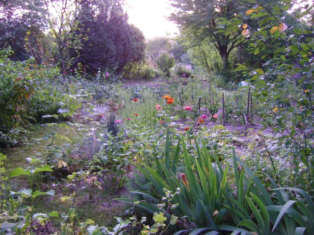 Działka rod Lublin Szerokie, ul. Nałęczowska. Zdjęcie 1