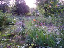 Działka rod Lublin Szerokie, ul. Nałęczowska