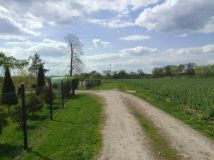 dom wolnostojący, 4 pokoje Brodzica. Zdjęcie 2