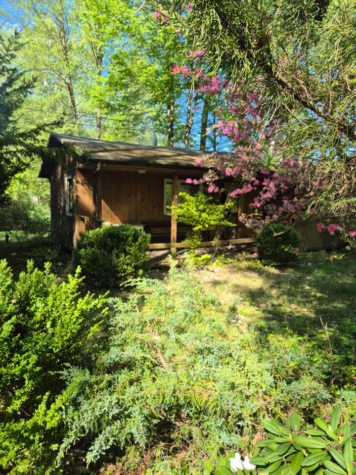 Działka rekreacyjna Popowo-Parcele, Dębowa. Zdjęcie 6