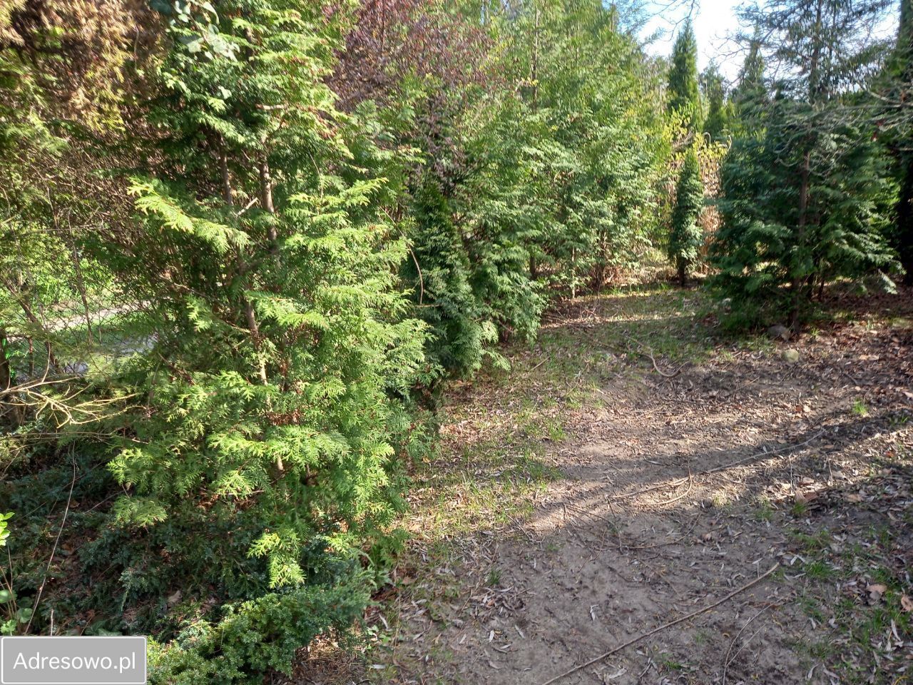 Działka rod Szczaki, ul. Mrokowska. Zdjęcie 4