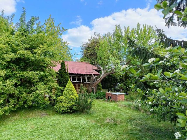 Działka rod Drzewce. Zdjęcie 1