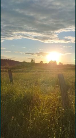 Działka rolna Jałtuszczyki. Zdjęcie 1