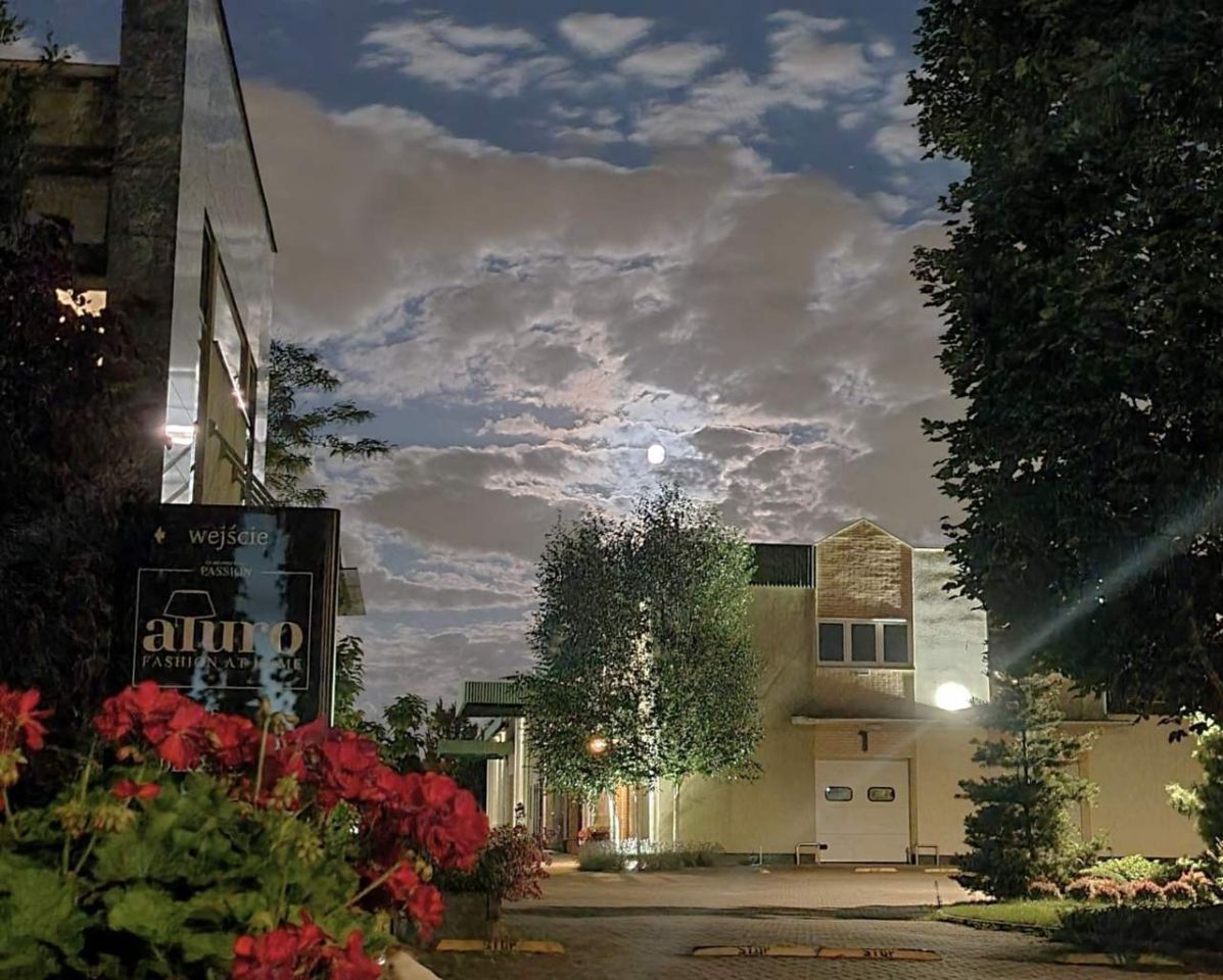 Hala/magazyn Bogucin, ul. Gnieźnieńska. Zdjęcie 15