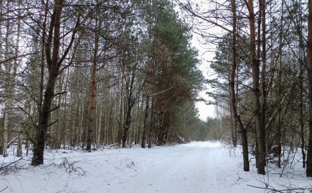 Działka rod Białystok Bagnówka, ul. Krzysztofa Pendereckiego. Zdjęcie 18