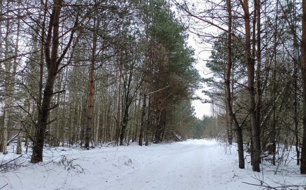 Działka rod Białystok Bagnówka, ul. Krzysztofa Pendereckiego. Zdjęcie 18