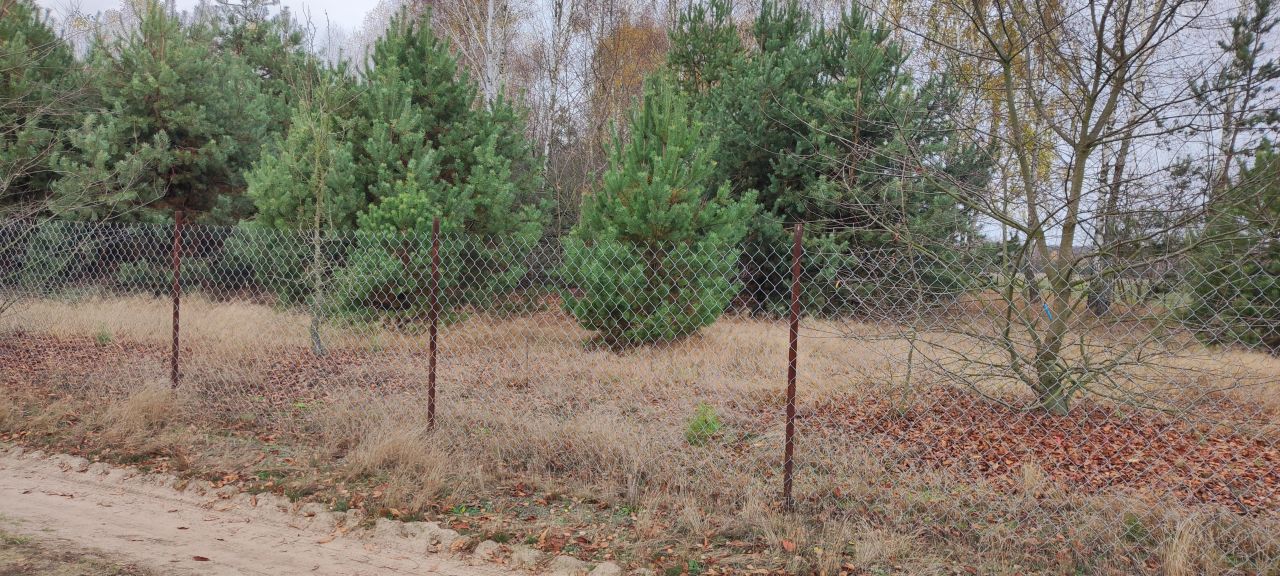 Działka rolna Osada-Wola. Zdjęcie 12