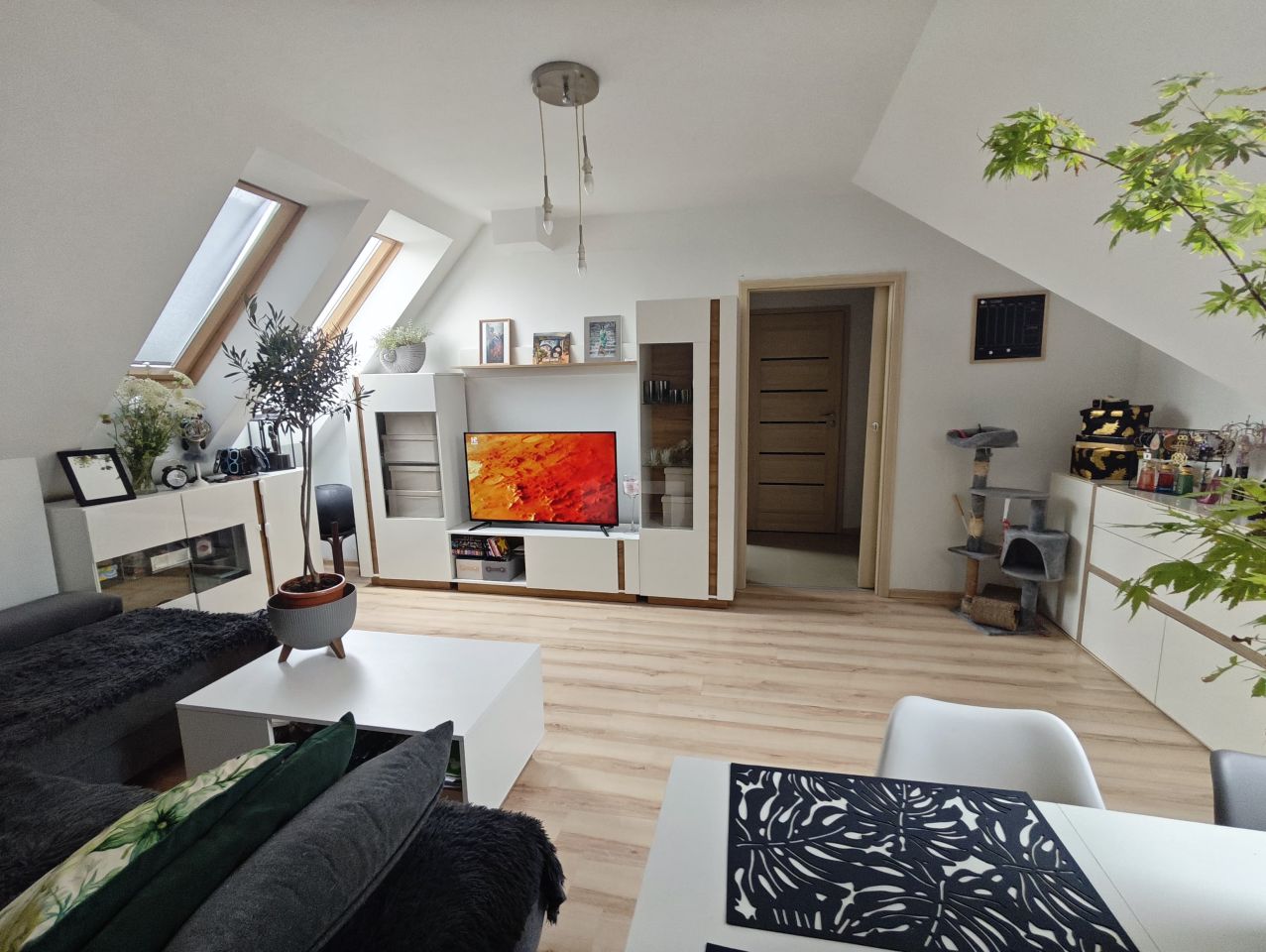 Mieszkanie 1-pokojowe Polkowice Polkowice Dolne, ul. Borówkowa